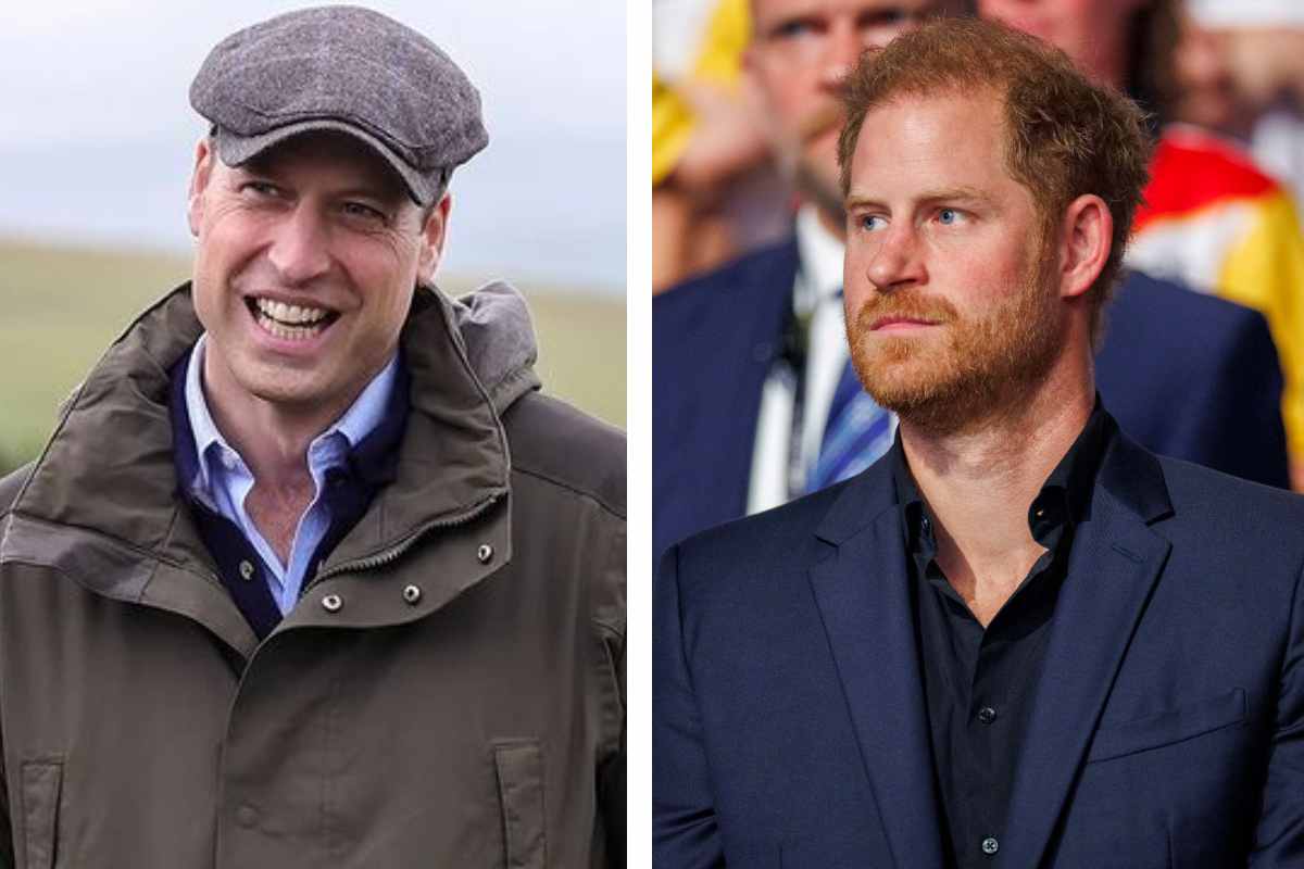 punto in comune william e harry