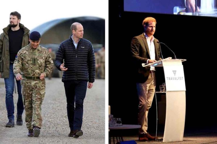 punto in comune william e harry