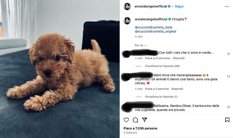 Anna Tatangelo compra un cane, sommersa di critiche