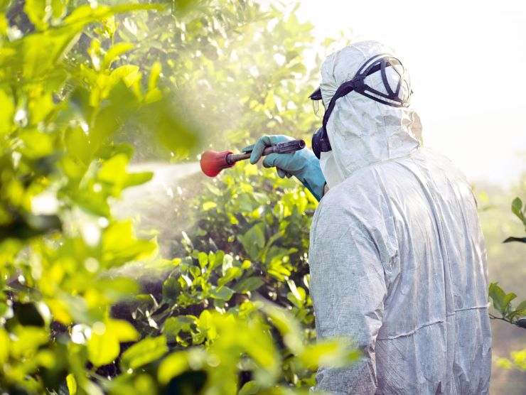Pesticidi frutta e verdura