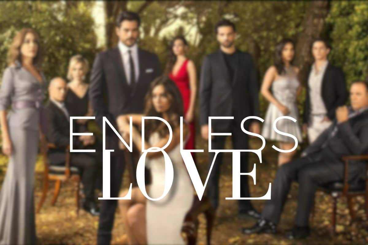 endless love finale