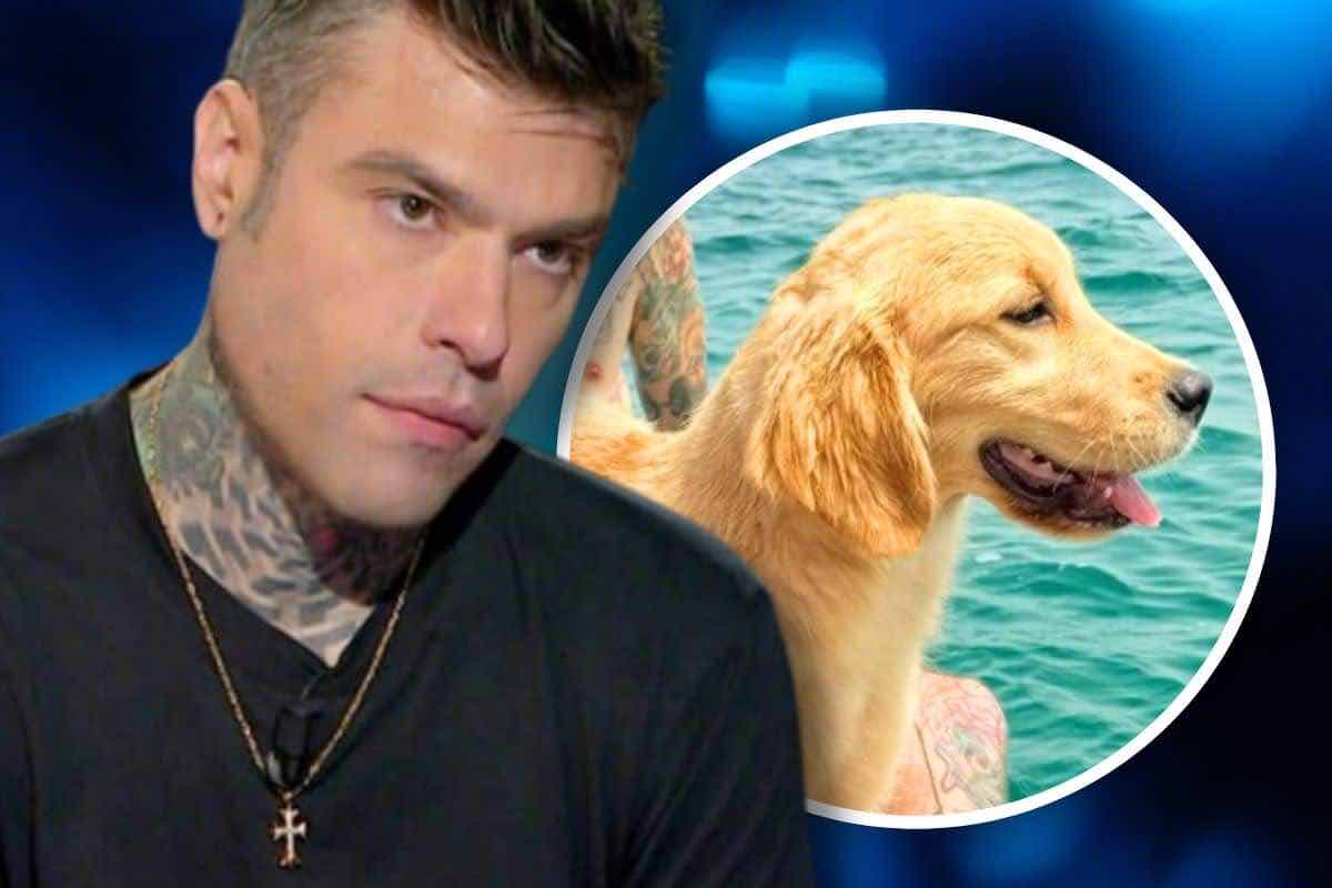 fedez e il cane silvio in sardegna