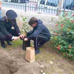 Carabinieri piantano speranza: alberi donati a scuole di palermo