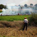 Fiamme nel Palermitano: un agricoltore provoca un incendio durante la pulizia dei terreni