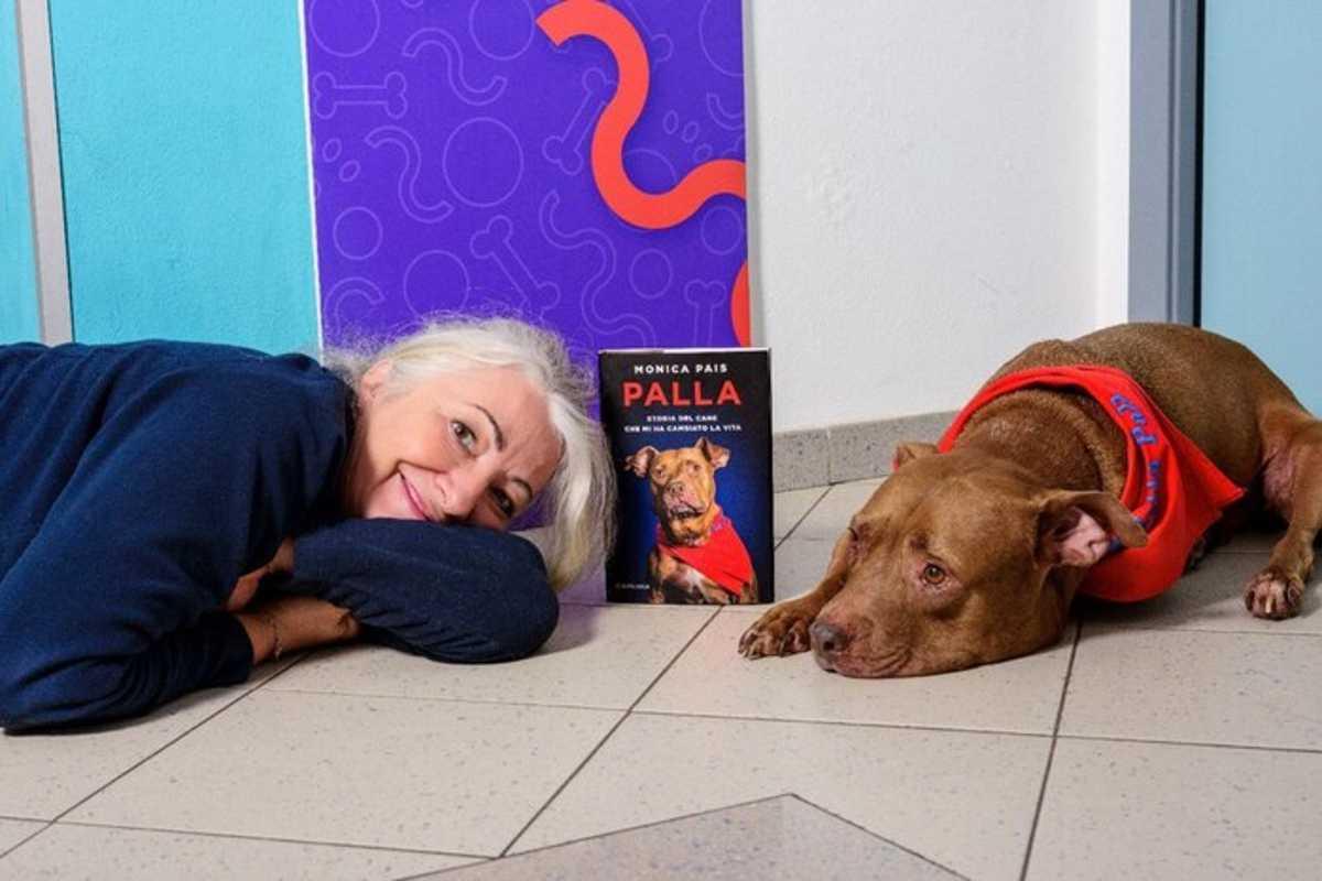 La storia di palla: un cane che conquista il cinema