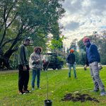 Nove alberi storici riscoperti nel giardino inglese della reggia di caserta