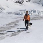 Paolo cognetti: dalla regia al sogno di una vita tra le montagne