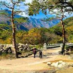 Scopri la magia dell'autunno in Corea del Sud: un tour tra i colori della penisola