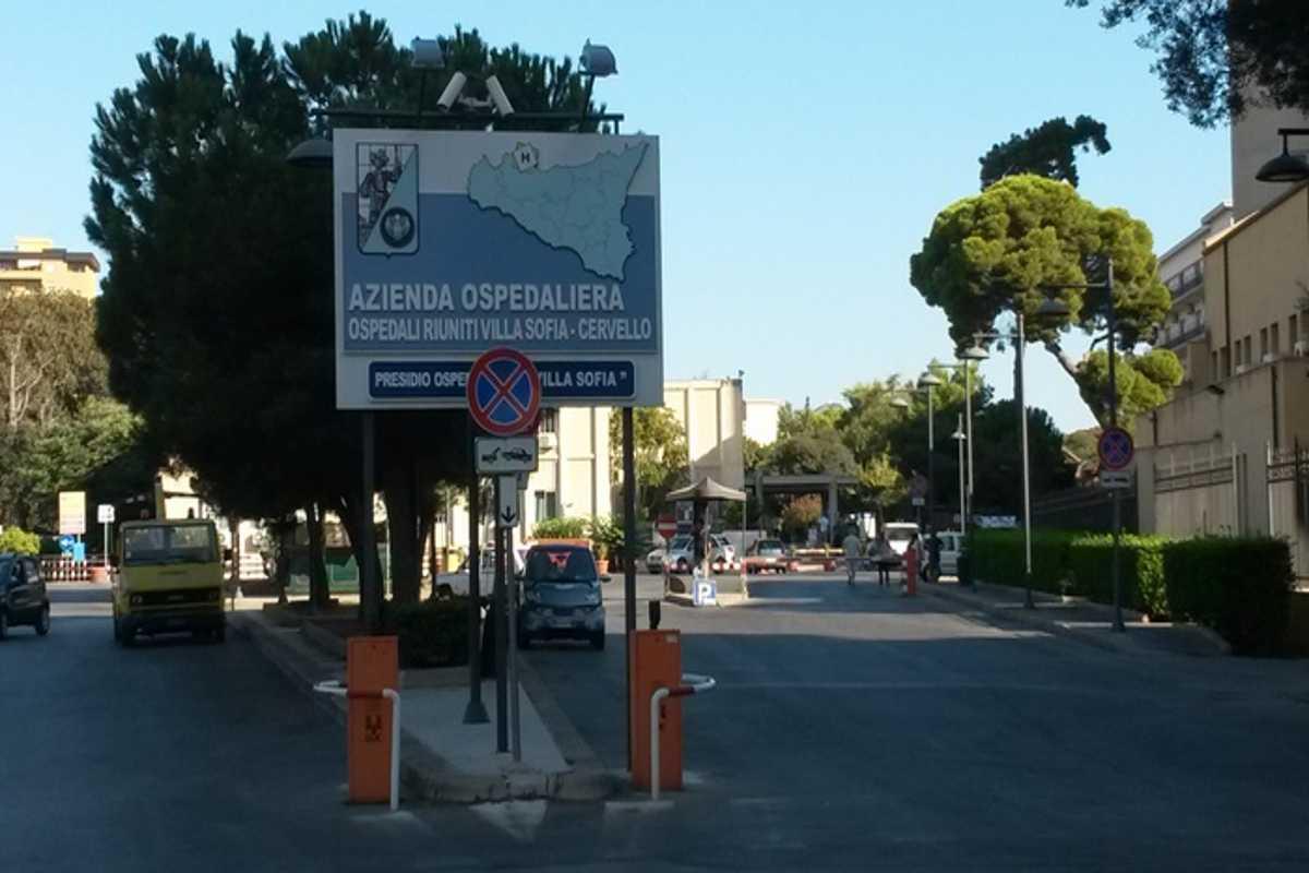 Violenza in ospedale: dottoressa aggredita al pronto soccorso di palermo