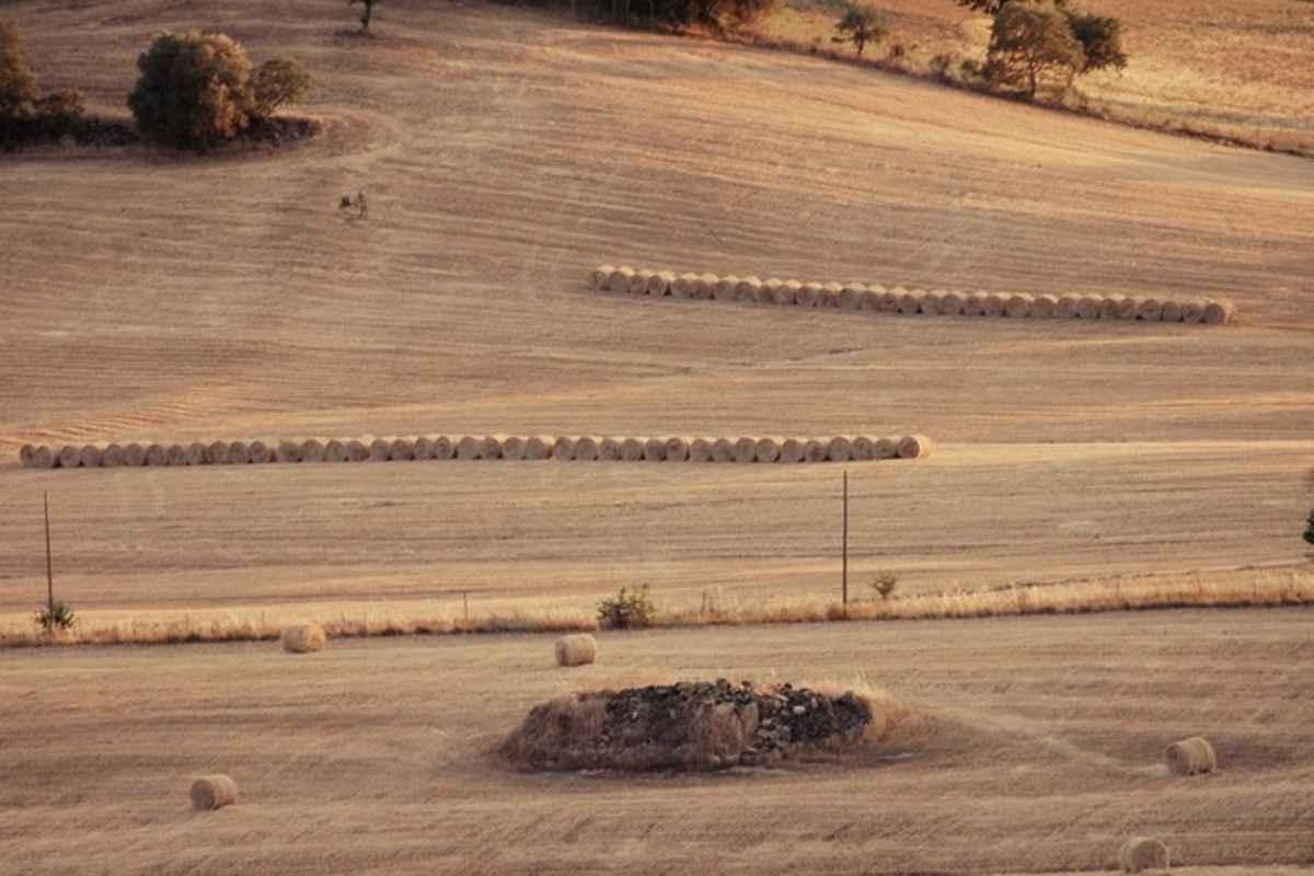 La mostra 'terreno' al maxxi l'aquila esplora il legame tra materia e memoria