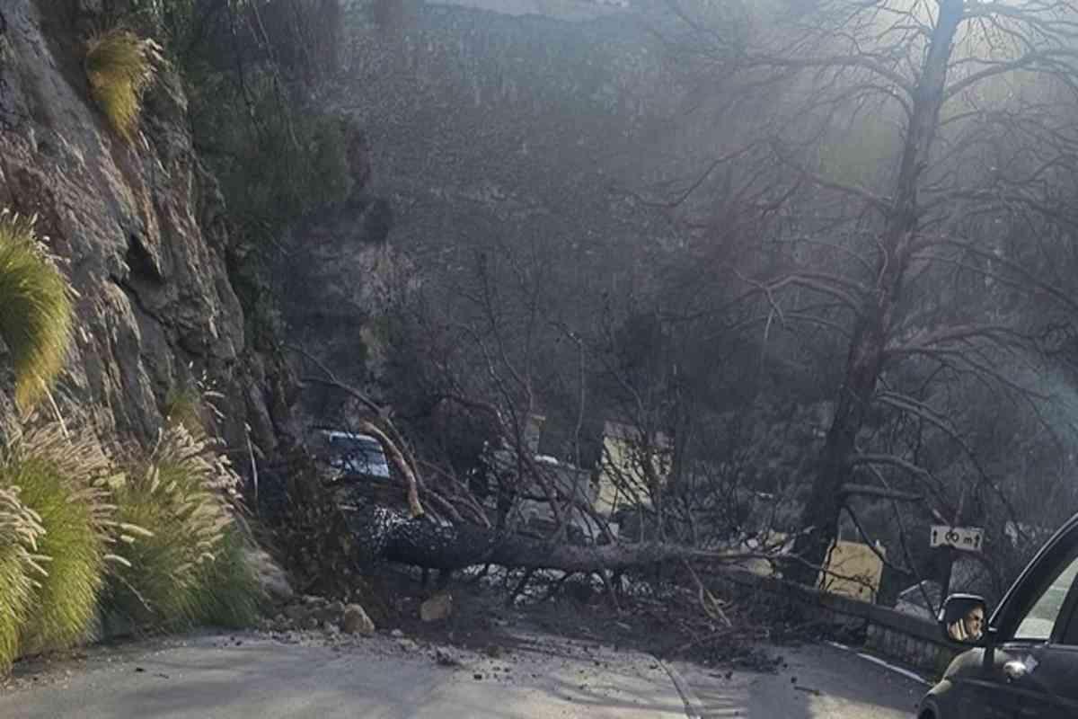 Maltempo a palermo: oltre 30 interventi dei vigili del fuoco per vento e pioggia