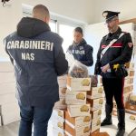 Panettoni scaduti in vendita: scoperta shock durante i controlli