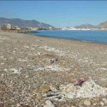 Scoperta inquietante: salviette igienizzanti inquinano la costa sud di palermo