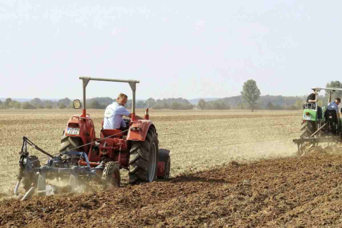 La nuova normativa prevede una detrazione fino al 50% per le spese ammissibili, con un tetto massimo variabile