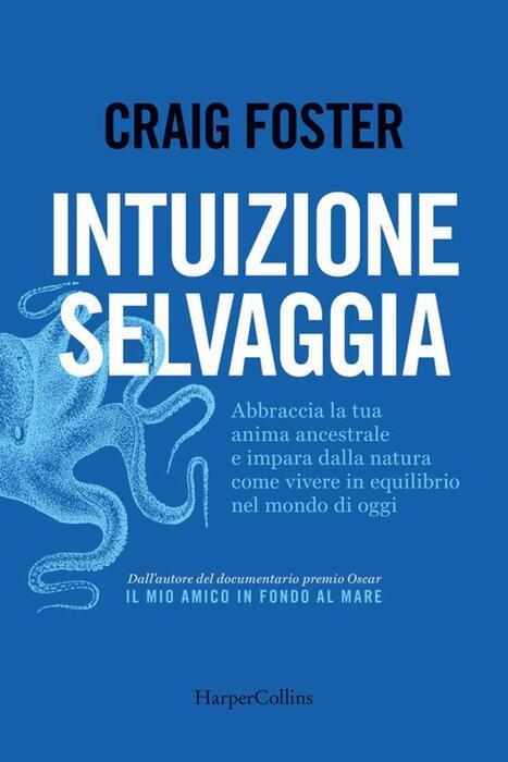 Foster e il mistero dell'anima che si risveglia nell'ignoto