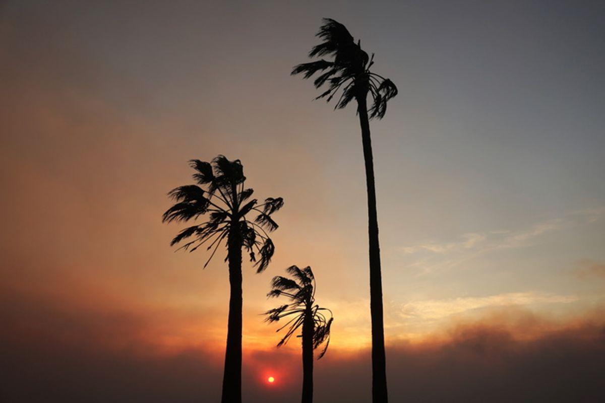 Giorgio armani e la devastazione inattesa a los angeles