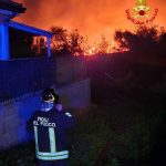 Incendio devasta la zona vicino all'oasi del simeto, si indaga su origine dolosa