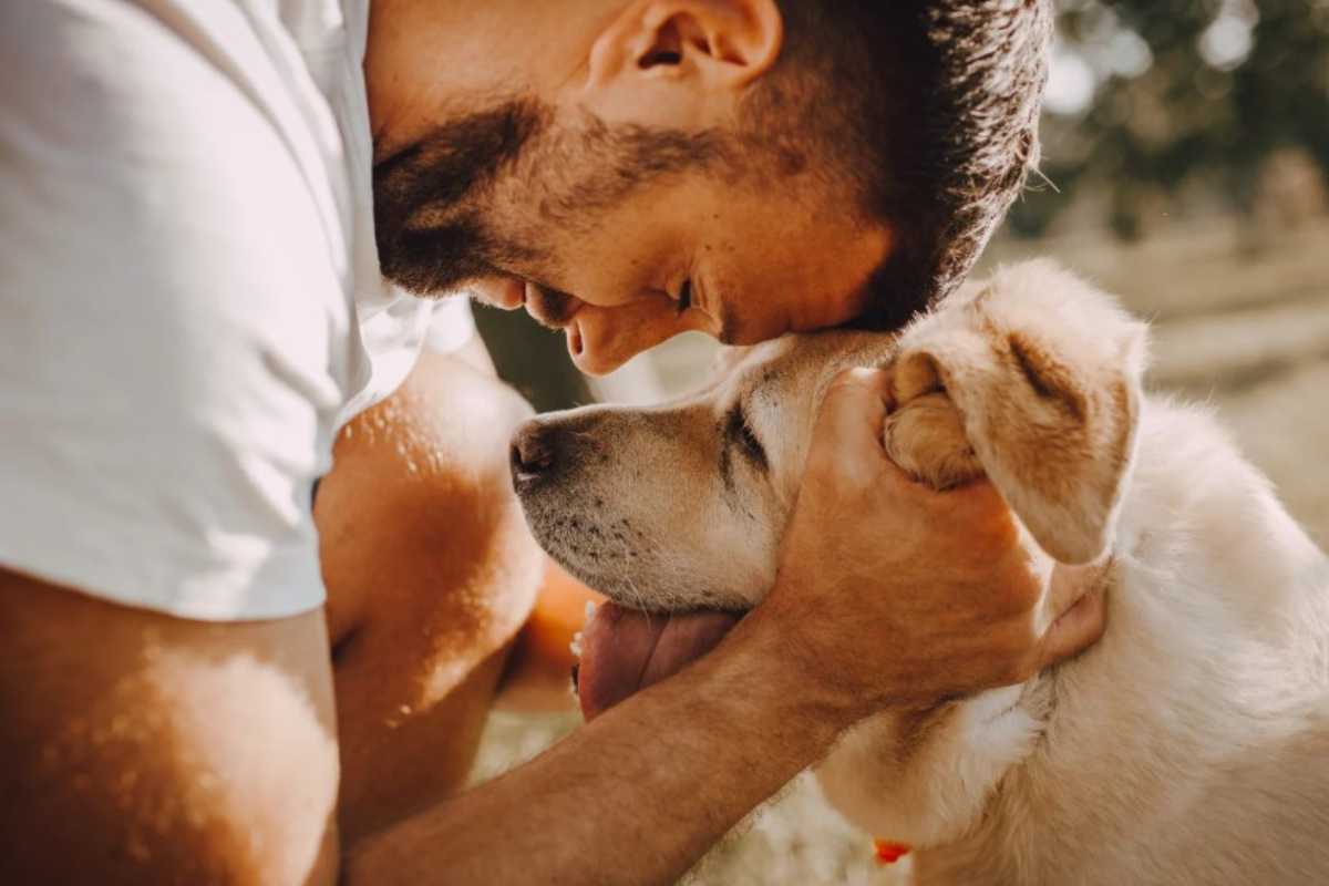 Cane e personalità