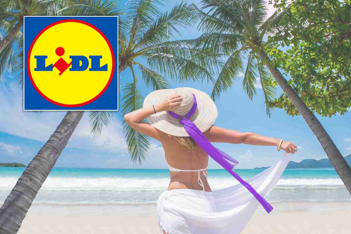 lidl offerta viaggio